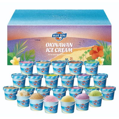 ＜沖縄/ブルーシール＞★【産直】ブルーシールギフト２４