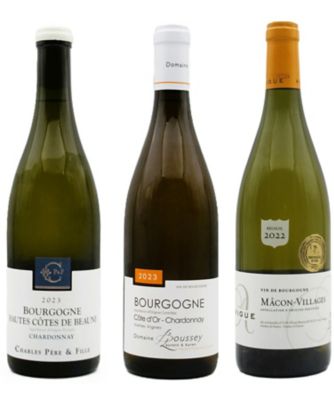 ブルゴーニュ白ワイン　2本セット ソムリエ厳選ギフト ブルゴーニュ赤・白ワイン2本セット 送料無料