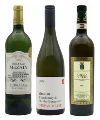 ＜銀座三越テイスティングカウンター＞フランス、ドイツ、イタリア白ワイン３本セット