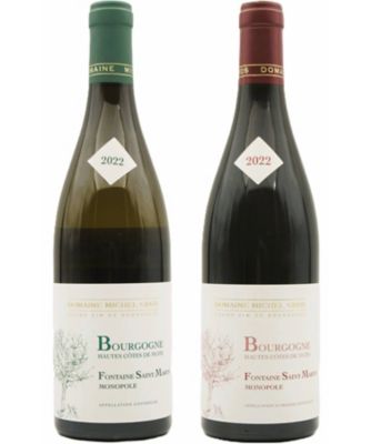 ＜銀座三越テイスティングカウンター＞ブルゴーニュ・オート・コート・ド・ニュイ・フォンテーヌ・サンマルタン赤白セット