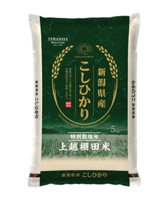 本物【新米の美味しさ長続き】米びつ10キロ用　一合升&すりきり板付き 特別栽培米新潟県産棚田米コシヒカリ （10kgおまとめ割引） | 銀座