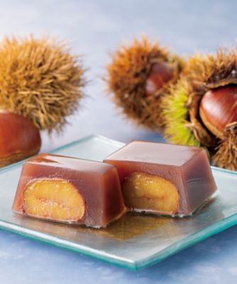 ８０２２８【母の日】岐阜＜恵那清月堂＞のしぶ栗水ようかん　８０ｇ×１５個