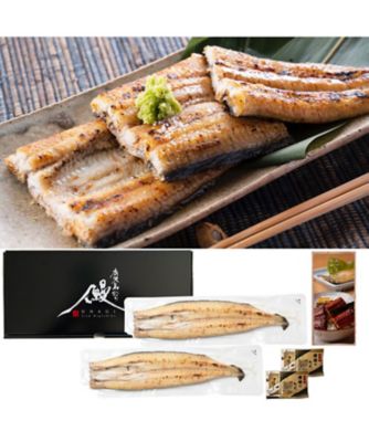 彦兵衛　国産うなぎ蒲焼2尾+白焼1尾 朝じめうなぎ蒲焼き2尾と白焼き1尾のコンビセット（4～5人前）【国産