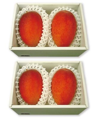 21474 2箱 （4玉）沖縄県産 マンゴー（計約1．2kg） | 三越