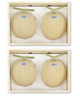 21478 2箱（4玉）静岡県産 温室アールスメロン（計約7kg