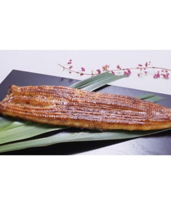 ＜魚勢＞【父の日】静岡県産　うなぎ長蒲焼