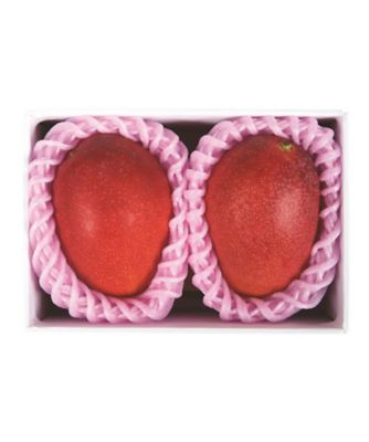 【母の日】０７５．宮崎県産完熟マンゴー２個