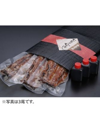 UWE MAX 上段　アクリル 未使用 保管品ウベマックス　 日焼けマシン 丑の日】206．ご自宅用本格備長 瞬間冷凍長焼1尾 7月25日（土