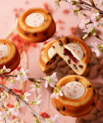 タイガー＆ミトンチョコレートサンド春セット６個入