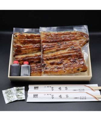 丑の日】204．うなぎ蒲焼真空パック 7月24日（金）～26日（月