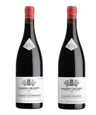 １９．【ＷＥＢ限定】＜メゾン　シャンピー＞グレートヴィンテージのグラン・クリュ　２本セット