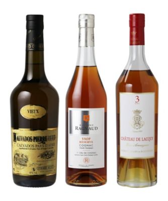 ２１．【ＷＥＢ限定】＜ピエール　ユエット／レイモン　ラニョー／シャトードラキー＞フランス本格ブランデー３本セット