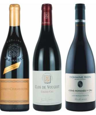 13．グランクリュ入り ブルゴーニュ産 コート・ド・ニュイ地区
