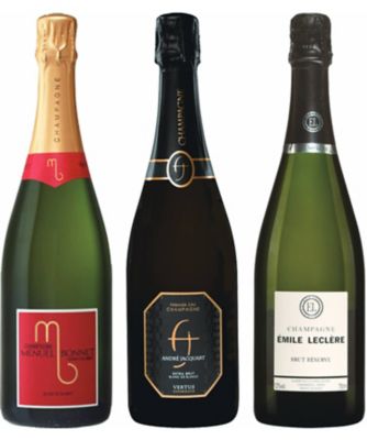 28．グラン・クリュ、プルミエ・クリュ入り！小規模生産者ブラン・ド