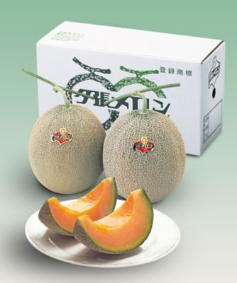 21528 2箱（4玉）夕張メロン（良品）（特大玉）約2kg | 三越