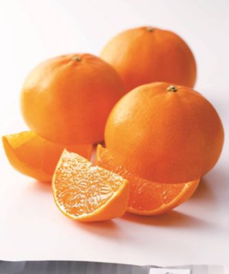 〈青果〉愛媛県産　えひめ中央農協　ハウスせとか　限定５０