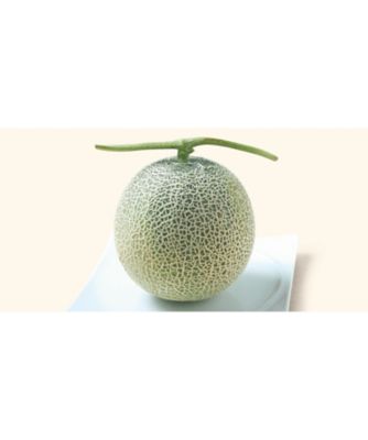 26chu_045213