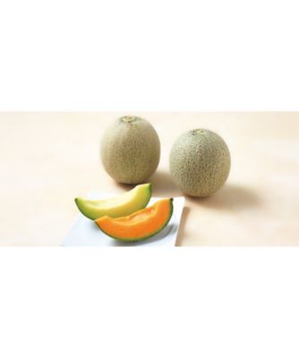 26chu_045233