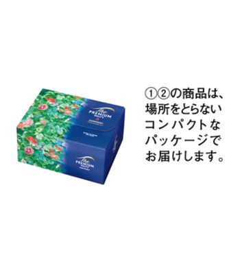 東京国立近代美術館 限定ギフト〈サントリー〉朝顔（あさがお） ザ