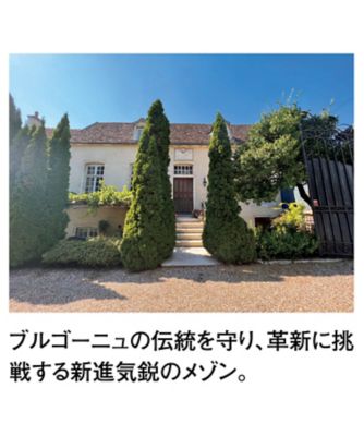 アレックス ガンバル〉ブルゴーニュ赤白ワインセット ※送料無料
