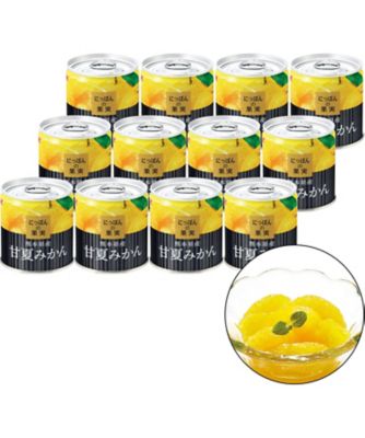 K＆K〉にっぽんの果実 熊本県産 甘夏みかん 12缶【A251733
