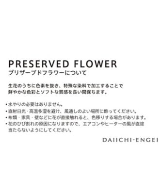 第一園芸〉供花アートフラワー＆プリザーブドフラワー「エデン」白（大