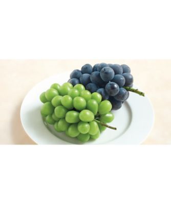 26chu_345013