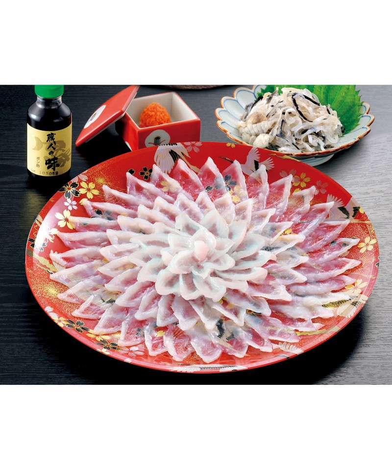 ♪残暑御見舞商品♪】富貴蘭 紫苑（最上木） ♪残暑御見舞商品♪】富貴