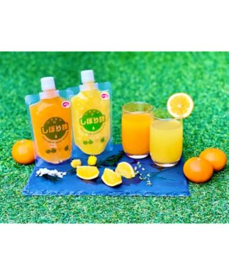 ＜島の駅しまなみ1＞そのまんま１００％柑橘冷凍ジュース　１０本入