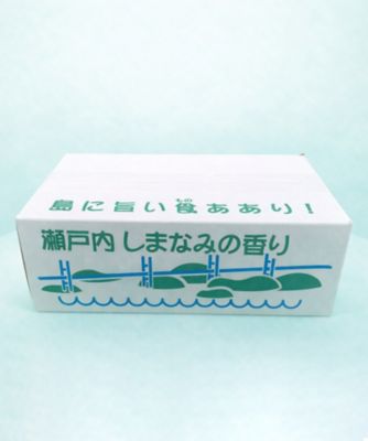 そのまんま100％柑橘冷凍ジュース 10本入 | 島の駅しまなみ1