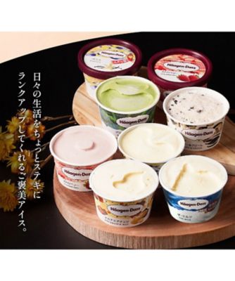 ハーゲンダッツミニカップ8個セットHD40L | Haagen-Dazs