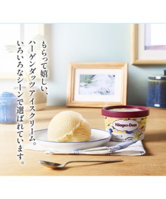 ハーゲンダッツミニカップ8個セットHD40L | Haagen-Dazs
