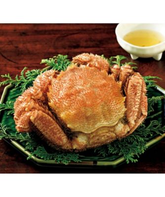 ギフト オブ グルメ［三越伊勢丹 味覚百景］麗（れい）コース（冊子