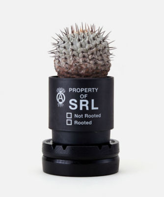 ウッドスタンド NH × LFE．ROTARY WOODSTAND