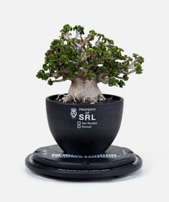 SRL ネイバーフッド ロックフィールド ロータリーウッドスタンド NEIGHBORHOOD ネイバーフッド x LOCKFIELD EQUIPMENT ロック