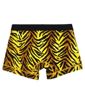 美品初版本　 MARKUS 「BOXERS」 布張り装丁 1336 SCULPTURE BOXER (Light green)｜メンズアンダーウェア DUGAS