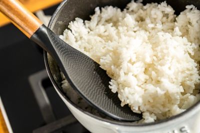 ごはん炊きセット カンパーニュ（ラ・ココット de GOHAN M