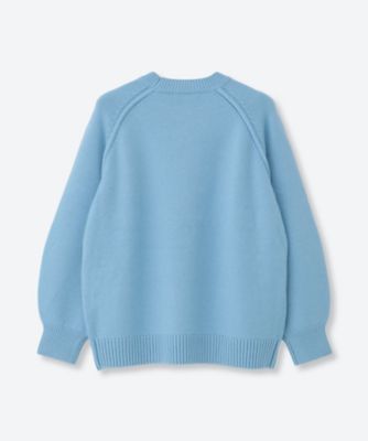 ローゲージカシミア セーター 4410800279 | ebure (Women