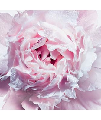 ミス ディオール ヘア ミスト ディオール Dior の通販 Meeco 三越伊勢丹オンラインストア