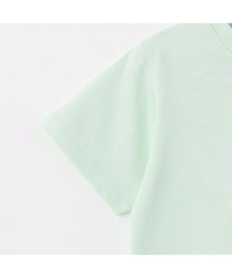 昆虫半袖Ｔシャツ　３５５１２２０