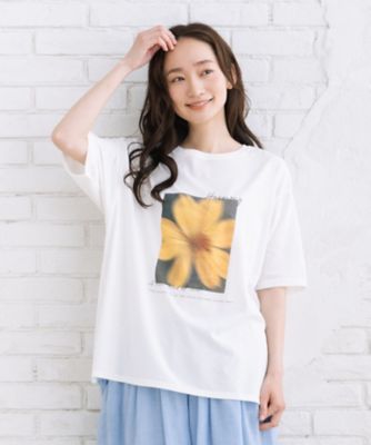 sabstreet bis web限定 接触冷感・UV フラワーフォト