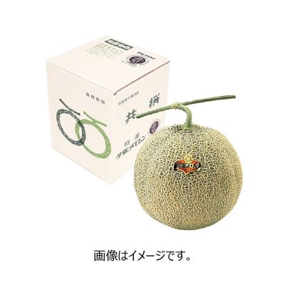 36_1ko_melon_dosanko