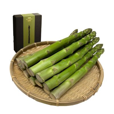 36_2022_nonaka3l1kg