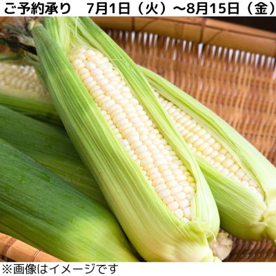 36_2025cone_001