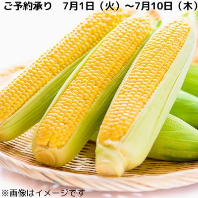 36_2025cone_003