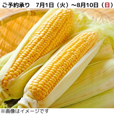 36_2025cone_004