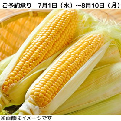 36_2026cone_004
