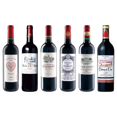 Ｍ２５．フランス・ボルドー地方　右岸ＶＳ左岸飲みくらべ赤ワイン６本セット■セットワイン特別販売会■