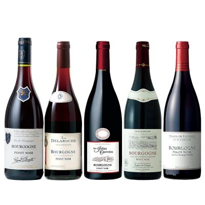 Ｍ２７．フランス・ブルゴーニュ地方　【ピノ・ノワール】種生産者別赤ワイン５本セット■セットワイン特別販売会■