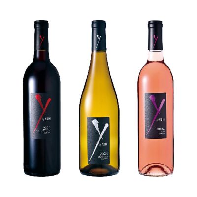 M35．＜Y by YOSHIKI（ワイ・バイ・ヨシキ